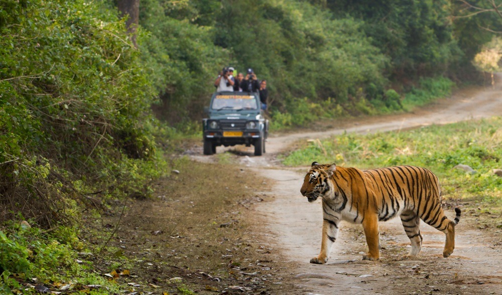 Nainital Bhimtal Jim Corbett National Park & Haridwar Tour.